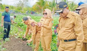 Bupati Ningsih Puji Petani Desa Waitulia