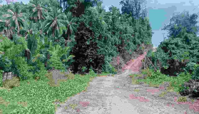 Di Tangan FAM-SAH Harapan Masyarakat Waisakai Soal Jalan Tembus Pelita Jaya Terjawab