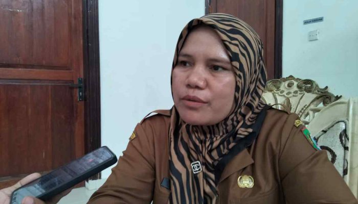 Peringati HKN ke-60, Dinkes Kepsul Fokus Kegiatan Sosial Hingga Hari Puncak