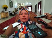 Di HKN ke-60, Kadinkes Kepsul Beberkan Sejumlah Prestasi Pemerintahan FAM-SAH