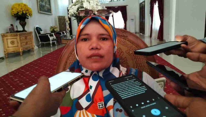 Di HKN ke-60, Kadinkes Kepsul Beberkan Sejumlah Prestasi Pemerintahan FAM-SAH