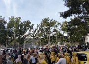 Ekspresikan Kebahagiaan, Pendukung FAM-SAH Berkumpul di Halaman Istana Daerah