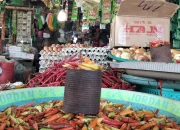 Di Sula, Harga Rica di Awal Tahun 2025 Naik Drastis