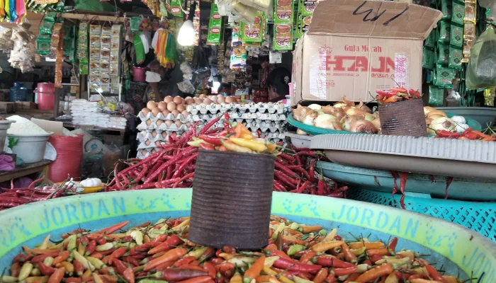 Di Sula, Harga Rica di Awal Tahun 2025 Naik Drastis