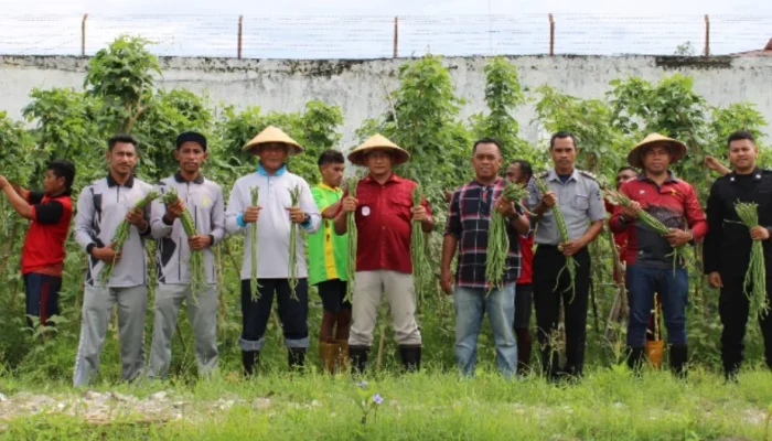 Panen Perdana, WBP di Lapas Kelas II-B Sanana  Berhasil Tanam Sayuran