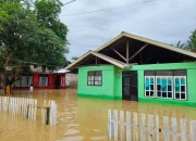 Hujan Deras, Puluhan Rumah di Desa Umaloya Kepulauan Sula Terrendam Banjir, 4 rumah Parah