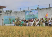 Berhasil Tanam Padi, WBP dan Pegawai Lapas II-B Sanana Siap Dukung Program Ketahanan Pangan Nasional