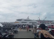 Mudik Lebaran Idul Adha 1446 H. Penumpang Asal Ambon-Seram membludak.