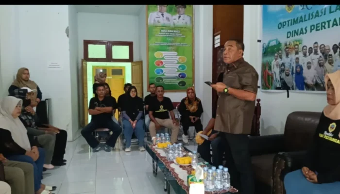 Pengembangan Pulau Syafi: Sebuah Rencana yang Matang dan Berkelanjutan