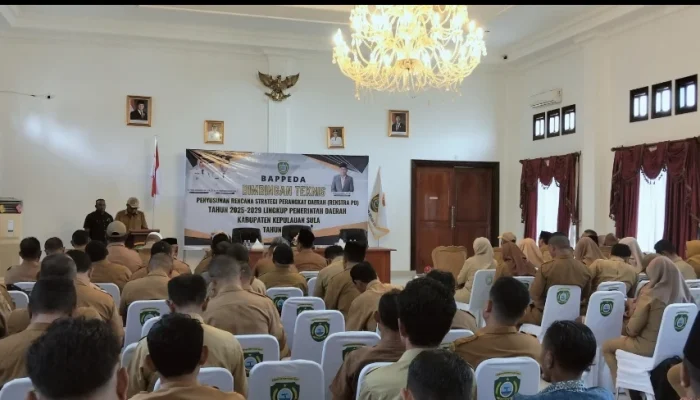 Wabup Sula Buka Bimtek Penyusunan Renstra Perangkat Daerah 2025-2029