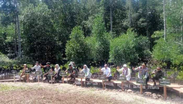 Gubernur Apresiasi Pemda Halteng dan IWIP Atas Program Penanaman Mangrove