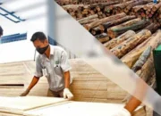 ‘Sadis’ Status Pekerja di Falabisahaya Bukan Karyawan Tapi Mitra, DPRD Komisi II Sorot