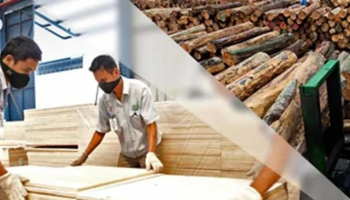 ‘Sadis’ Status Pekerja di Falabisahaya Bukan Karyawan Tapi Mitra, DPRD Komisi II Sorot