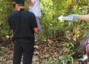 Reka Adegan, Begini Cerita Siswi SD Kelas Satu Berjuang Selamatkan Dirinya di Hutan
