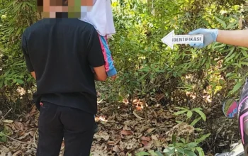 Reka Adegan, Begini Cerita Siswi SD Kelas Satu Berjuang Selamatkan Dirinya di Hutan